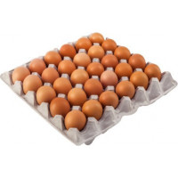 ru-alt-Produktoff Odessa 01-Молочные продукты, сыры, яйца-144908|1